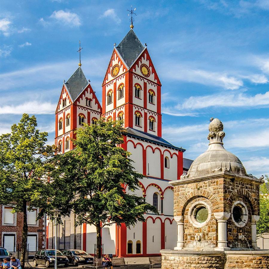 Le Liegeois - Proche Centre - Maison De Maitre Экстерьер фото
